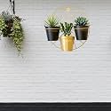 Golden Wheel Hanging Metal Planter With Stand | Home Decor Item | Living Room Planter | Decorative for Garden - Pack of 1