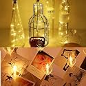 Lights (Combo of Cork Light 10 and Heart photoclip)