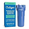 Culligan Whole House Water Filter System - for Pipes, Fits 10 x 2.5 in, 3/4 Inch (Pack of 6)