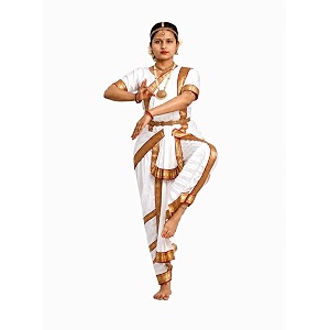 Culture Creation Girls Bharat Natyam Dance Dress