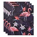 CultureBox Colorful Diary, Flamingo Double Side Ruled, 80GSM, 160 Pages, Hardbound Cover(B), (CD-COLDAIRY-01-B)-Pack-3?