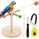 3 Pcs Bird Training Stand Kit, Parrot Training Clicker Portable Tabletop Bird Perch and Target Stick, Wooden Spin Perch Clickers with Wrist Strap for Parakeet Conure Lovebird Cockatiel (Spin)
