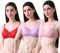 Curvy Love Pack of 3 Women T-Shirt