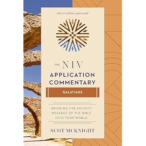 niv application commentary resources