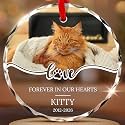 Pet Memorial Ornament 2026 Personalized Cat Photo