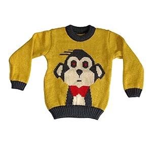 cute collection- woolen sweater cum sweatshirttop for 3 to 4 year boys amp girls