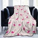 Pink Flamingos Bed Blanket Ultra Soft Throw Blanket All Season Warm Light Weight Cozy Plush Blankets for Home Bedroom Sofa Chair Travel, 50"X60"