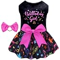 CuteBone Birthday Dog Dresses Velvet Holiday Small Dogs Clothes Onesie Pet Apparel Girl Puppy Skirt with Bow Hair Rope