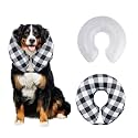 CuteBone Dog Recovery Cone for Small Medium Dogs &amp; Cats