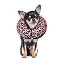 CuteBone Dog Recovery Cone for Small Medium Dogs &amp; Cats