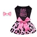 CuteBone Little Miss Sassy Pants Dog Leopard Print Dress Velvet for Small Dogs Girl Puppy Dresses Pink Dog Clothes CVA15L-D