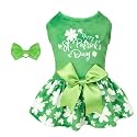 CuteBone St.Patrick's Day Dog Green Dress Velvet for Small Dogs Girl Puppy Dresses Clover Dog Clothes