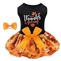CuteBone Thanksgiving Dog Fall Dresses Costume Velvet Holiday Small Dogs Clothes Onesie Pet Apparel Girl Puppy Skirt with Bow Hair Rope