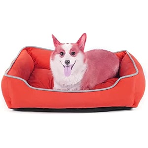 cutepups polyester small size square shape dog bed for labradorgerman shepherdsgolden retrieversdachshundbeaglespugpomeraniansrottweilers red color