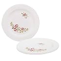 Cutting EDGE Round Dinner Plates Set, Light-Weight, Daily Use Crockery Set, Unbreakable, Microwave/Dishwasher/Freezer Safe Big Plates Set (Red Flower, Pack of 4)