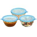 Cutting EDGE 800 ml Borosilicate Glass Mixing Bowl with Lid (Set of 3)