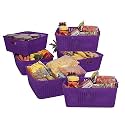 Cutting EDGE Woven Storage Basket with Handle Medium-Set of 6,Purple