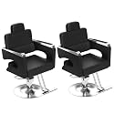 Cuute Salon Chair for Hair Stylist, Barber Chair with Heavy Duty Hydraulic Pump, Stylist Chair 360 Degrees Rolling Swivel Spa Beauty Equipment for Hair Stylist, Silver(Set of 2)