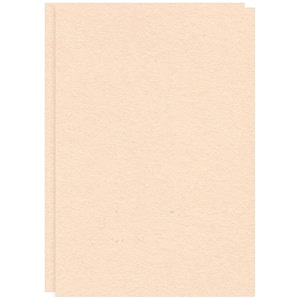 cvanu premium a4 color paper sheets brussels biscuit 250 gsm color art papers for kids diy arts and crafts scrapbooking card making pack of 10