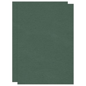 cvanu premium a4 color paper sheets glasgow green 250 gsm color art papers for kids diy arts and crafts scrapbooking card making pack of 10