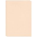 CVANU Premium A4 Color Paper Sheets BRUSSELS BISCUIT 250 GSM Color Art Papers for Kids DIY Arts and Crafts| Scrapbooking| Card Making (Pack of 100)