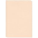 CVANU Premium A4 Color Paper Sheets BRUSSELS BISCUIT 250 GSM Color Art Papers for Kids DIY Arts and Crafts| Scrapbooking| Card Making (Pack of 10)