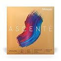 D'Addario Ascente Violin Strings - Violin Strings with Ball Ends, Synthetic Core - A313 4/4M - D String - 4/4 Scale - Medium Tension