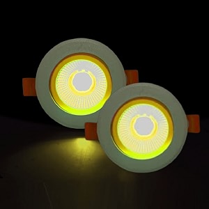 DMak Aluminium 6 Watt Round Led Cob