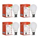 D.LIGHT 9W LED Bulb Color for Home