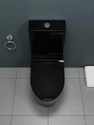 DOT (22) C016 Premium Quality Shining Dark Black commode with Round Flush Button Western Commode (Black)