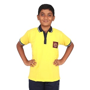 d v enterprise cotton unisex kendriya vidyalaya t-shirt with collar tshirt kv kendriya vidyalaya school uniform tshirt school tshirt yellow