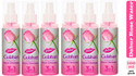 Dabur Gulabari Rose Water for glowing skin Men & Women (600 ml)