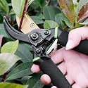 Daccfy 8 Inch Gardening Scissors -Pack of