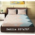 Dahlia Elastic Fitted Glace Cotton Queen Size (78x60x Upto 8 Inches) Bedsheet with 2 Pillow Covers-200TC (Pastel Green Color)