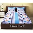 Dahlia Elastic Fitted Glace Cotton Queen Size (78x60x Upto 8 Inches) Bedsheet with 2 Pillow Covers-200TC (Triangle, Multi Color)