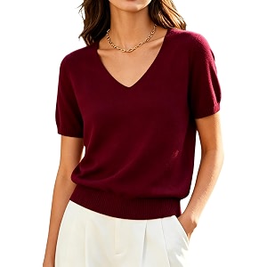 DAIMIDY Womens Short Sleeve Sweater V Neck
