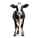 Dairy Cow - Life Size Cardboard Cutout Standup People with Support Standee | Animals -2