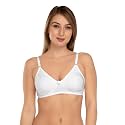 Daisy DEE Women39s Cotton Seamless Non-Padded Non-Wired