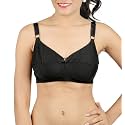 DAISY DEE Women39s Cotton Non Padded Wire