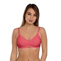 Daisy DEE Women39s Cotton Seamed Non-Wired Regular
