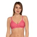 Daisy DEE Women39s Cotton Seamless Non-Padded Non-Wired