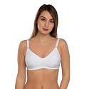Daisy DEE Women39s Cotton Seamed Non-Wired Regular