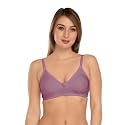 Daisy DEE Women39s Cotton Seamless Non-Padded Non-Wired