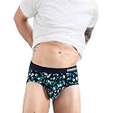 DAMENSCH Men Modal Briefs