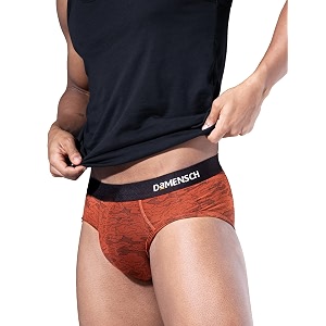 damensch men modal briefs
