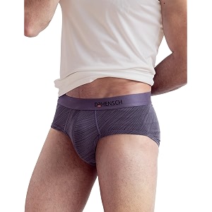 damensch men modal briefs