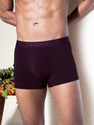 Damensch Men Deo-Soft Anti-Bacterial Purple Brief