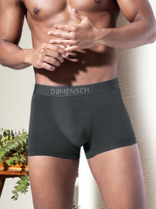 damensch men deo-soft anti-bacterial grey brief