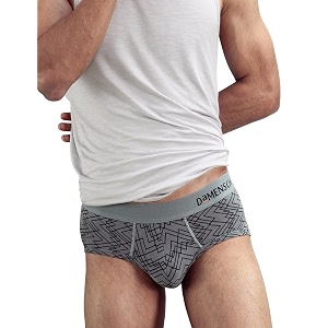 DAMENSCH Men Modal Briefs