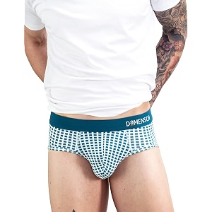 DAMENSCH Men Modal Briefs